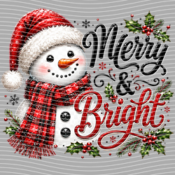 Christmas-ADJ 11595